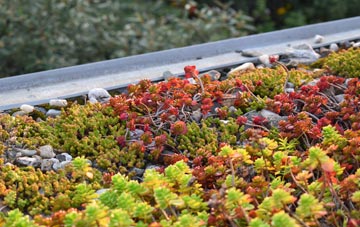 the cost of Hoath Corner green roof installation