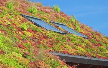 Hoath Corner living roof systems