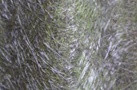 Hoath Corner fibreglass roof work