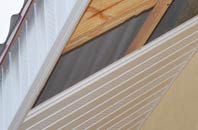 rated Hoath Corner soffit repair companies
